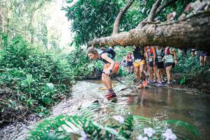 BIB: 
                            <button type="button" onclick="openModal(25466157)" class="btn btn-primary btn-sm float-right btn-popup" data-toggle="modal" data-target=".modal-high-quality">
                        <i class="fas fa-shopping-cart"></i> Add to Cart
                    </button>
                                            <button type="button" onclick="isThisMe(25466157, true)" class="btn btn-success btn-sm float-right btn-popup btn-isme hidden" data-toggle="tooltip" data-placement="bottom" title="นี่คือรูปของคุณใช่ไหม คลิกที่นี่เพื่อเอาเข้าอัลบั้ม">
                        <i class="fas fa-plus"></i> Add to album
                    </button>
                    <button type="button" onclick="isThisMe(25466157, false)" class="btn btn-warning btn-sm float-right btn-popup btn-isnotme hidden">
                        <i class="fas fa-ban"></i> Remove from album
                    </button>